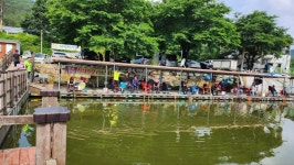 동교낚시터 유료낚시터 > 포천동교낚시터입니다 : 낚시사랑