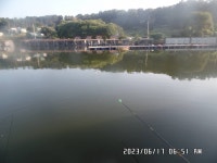 도곡낚시터 유료낚시터 > 도곡낚시터 붕어 조황 정보 감사합니다 : 낚시사랑