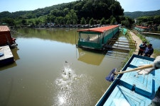 한터낚시터. 유료낚시터 > 한터 낚시터 2023년 6월17일(토요일) 붕어 향어 대량 방류했습니다. : : 낚시사랑