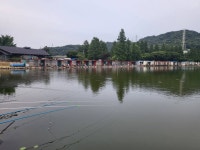 안성 거청낚시터 유료낚시터 > 6 월 18 일 배수없는 거청낚시터 붕어조황 : 낚시사랑