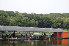 고담낚시터 유료낚시터 > 주말 대박조황 붕어방류 : 낚시사랑