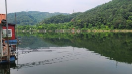 양평수곡낚시터 유료낚시터 > 6월넷째주중 힐링 수곡낚시터 고른 조황 및 내일과 주말 붕어방류 : 낚시사랑