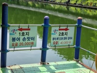 삼하낚시터 유료낚시터 > ## 호조황속의 행운표 대박## : 낚시사랑