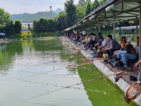 삼하낚시터 유료낚시터 > ## 호조황속의 행운표 대박## : 낚시사랑