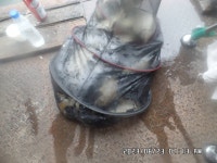 도곡낚시터 유료낚시터 > 도곡낚시터 붕어 조황 정보 감사합니다 : 낚시사랑