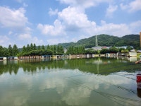 안성 거청낚시터 유료낚시터 > 6 월 25 일 배수없는 거청낚시터 붕어조황 : 낚시사랑