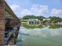 안성 거청낚시터 유료낚시터 > 6 월 25 일 배수없는 거청낚시터 붕어조황 : 낚시사랑