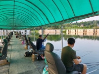 새마을낚시터 유료낚시터 > 밤낚시 찌올림 불꽃 쇼타임 : 낚시사랑