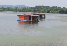 성호낚시터 유료낚시터 > 수요일 조황정보 이천성호낚시터. : 낚시사랑