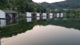 상곡낚시터 유료낚시터 > 토종붕어 전문 낚시터~~~조황입니다................ : 낚시사랑