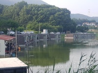 고초골낚시터 유료낚시터 > 고초골 7월 첫 주말 조황 및 어자원 방류~~ : 낚시사랑