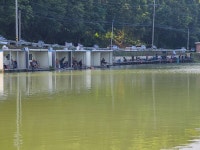 남전지기 유료낚시터 > 주말조황 및 방류소식 : 낚시사랑