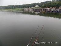 도곡낚시터 유료낚시터 > 도곡낚시터 붕어 조황 정보 감사합니다 : 낚시사랑