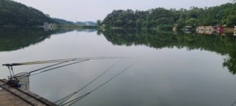 양평수곡낚시터 유료낚시터 > 힐링 양평 수곡낚시터 7월 피서낚시 첫주 주중조황도 꾸준한 편이며 금,토 연이어 붕어방류합니다 : 낚시사랑