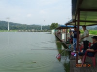 오빈낚시터 유료낚시터 > ~~~ 기복없이 꾸준한 조황 보이고 있습니다 ~~~ : 낚시사랑