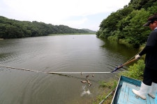 한터낚시터. 유료낚시터 > 2023 / 7월 / 7일 금요일 붕어 향어 대량 방류했습니다 : 낚시사랑