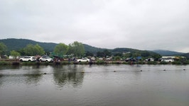 영종낚시터(구만정낚시터) 유료낚시터 > 2023.07.08(토) 멋진 주말, 밑밥 장전 준비 끝! 골고루 나오네요.^^* : 낚시사랑