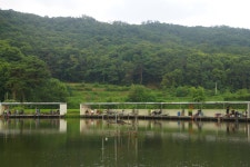 고담낚시터 유료낚시터 > 주말붕어방류 와 조황입니다 : 낚시사랑