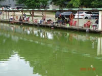 오빈낚시터 유료낚시터 > ～～～폭발적인 주말조황 이었으며 현재 아주좋은 조황보이고 있습니다 ～～～ : 낚시사랑