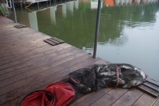 고담낚시터 유료낚시터 > 조황입니다 : 낚시사랑