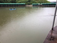 양평-대명낚시터 유료낚시터 > 7월 11일[화] 우리는 달리고 있따~~ : 낚시사랑