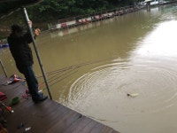 양평-대명낚시터 유료낚시터 > 7월 11일[화] 우리는 달리고 있따~~ : 낚시사랑