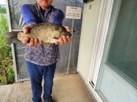 노진낚시터 유료낚시터 > ★★★★★노 진 낚 시 터 ㅡ토 종 잡 이 터 ㅡ 조 황 소 식 입 니 다.★★★★★ 붕어 지속적인방류 : 낚시사랑