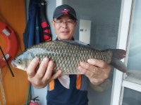 서울좌대 유료낚시터 > 송전지서울좌대7월15일조황 : 낚시사랑