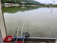 안성 거청낚시터 유료낚시터 > 7월 16일 안성 거청낚시터 붕어조황 : 낚시사랑