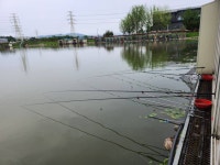 안성 거청낚시터 유료낚시터 > 7월 16일 안성 거청낚시터 붕어조황 : 낚시사랑