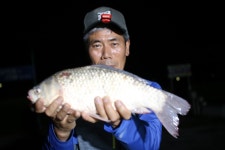 내동지 유료낚시터 > *** 1인1박 4짜6마리 *** : 낚시사랑