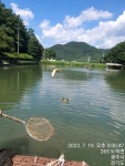 한일지기 유료낚시터 > ***한일낚시터 수요일 향어 방류@ 조황 정보*** : 낚시사랑