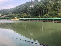양평-대명낚시터 유료낚시터 > 대명지기 미쳐가고 있음! 이번주 [금/토/일] 500kg 방류! 오늘 평일 만석이다!! : 낚시사랑