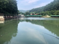 양평-대명낚시터 유료낚시터 > 대명지기 미쳐가고 있음! 이번주 [금/토/일] 500kg 방류! 오늘 평일 만석이다!! : 낚시사랑