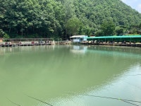 양평-대명낚시터 유료낚시터 > 대명지기 미쳐가고 있음! 이번주 [금/토/일] 500kg 방류! 오늘 평일 만석이다!! : 낚시사랑