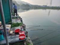 안성 거청낚시터 유료낚시터 > 7월 21일 안성 거청낚시터 붕어조황 : 낚시사랑