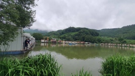 즐거운복상골 유료낚시터 > 장맛비~~~ : 낚시사랑