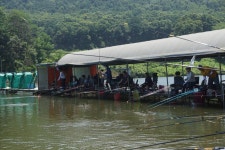 고담낚시터 유료낚시터 > 주말붕어방류 와 조황입니다 : 낚시사랑