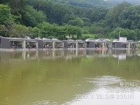 고초골낚시터 유료낚시터 > 고초골 조황 및 어자원 방류소식 : 낚시사랑