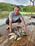 고삼지 양촌 유료낚시터 > 고삼지 마리수 조황 이어집니다. : 낚시사랑