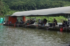 고담낚시터 유료낚시터 > 조황입니다 : 낚시사랑