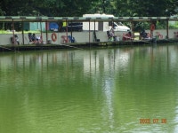 오빈낚시터 유료낚시터 > ~~~자리편차 없이 꾸준한 조황보이고 있습니다~~~~ : 낚시사랑