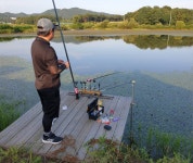 성호낚시터 유료낚시터 > 친구따라 성호낚시터 간다.(29토예약마감)이천성호낚시터. : 낚시사랑