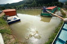 한터낚시터. 유료낚시터 > 한터 낚시터 2023 / 07 / 29 토요일 붕어 향어 잉어 대량 방류했습니다 : 낚시사랑