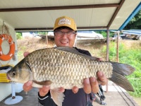 고삼지 양촌 유료낚시터 > 고삼지 상류권 조황 소식입니다. : 낚시사랑