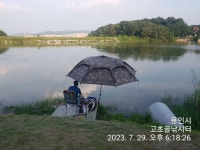 고초골낚시터 유료낚시터 > 고초골 조황 및 어자원 방류 : 낚시사랑
