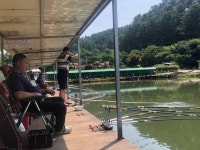 양평-대명낚시터 유료낚시터 > 8월01주차 800kg-[7월31일~8월06일] / 대방어/ 부시리 추가.. : 낚시사랑