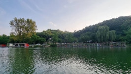 양평수곡낚시터 유료낚시터 > 7월 끝주말 여름휴가 피서 붕어낚시 힐링 양평 수곡 낚시터 조황 및 붕어방류 : 낚시사랑