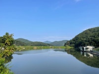 양평그린낚시터 유료낚시터 > 양평 그린낚시터 7/31~8/1 조황 정보 : 낚시사랑