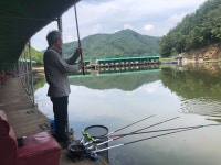 양평-대명낚시터 유료낚시터 > 8월 혹서기 이벤트!! [꽝조사 집합] : 낚시사랑